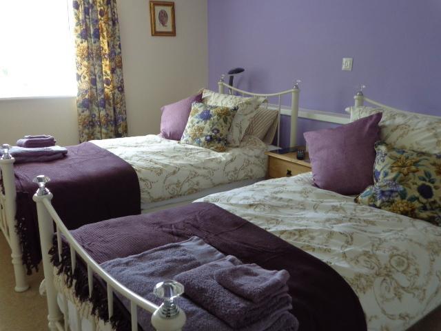 Lodge House B&B Buckland St Mary Værelse billede